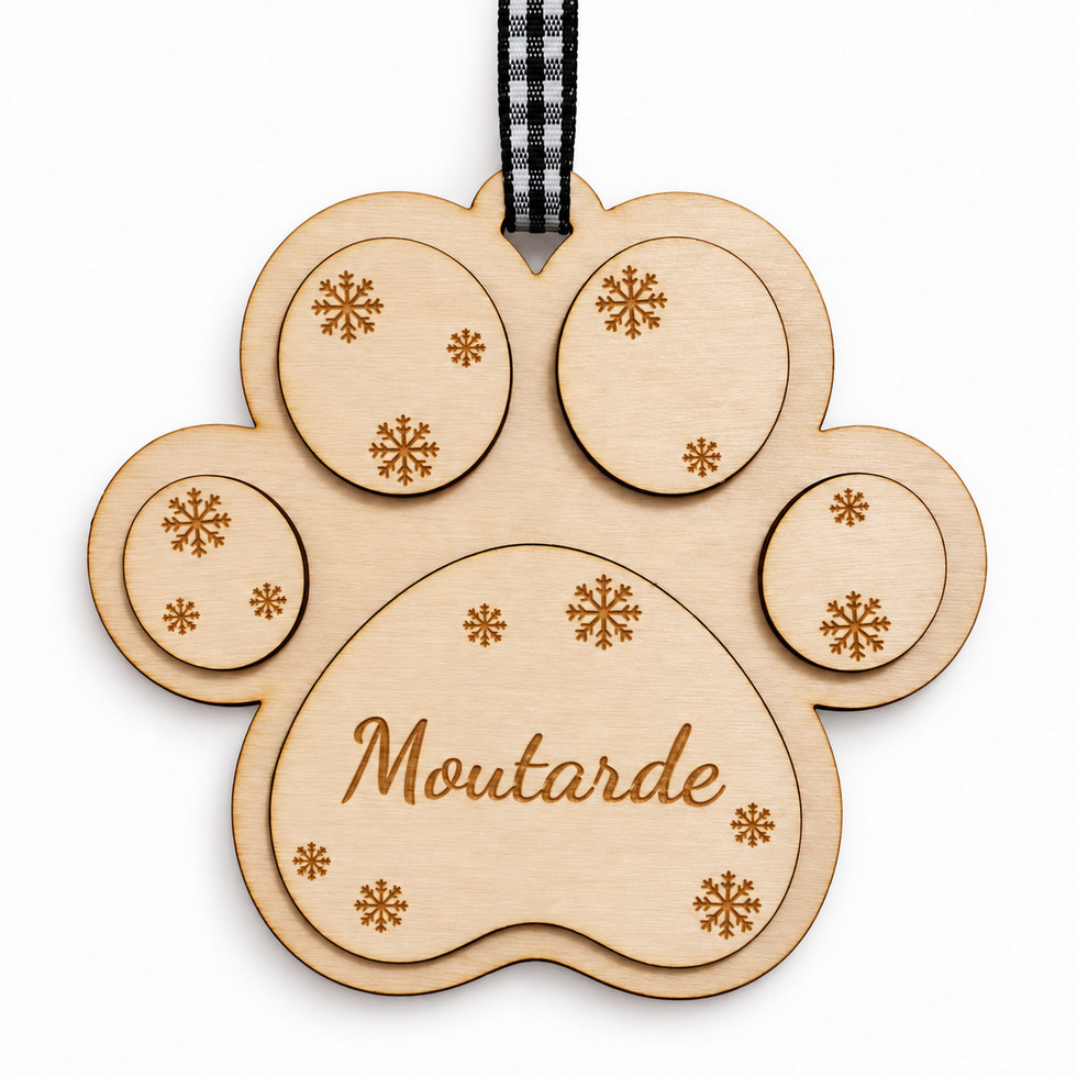 ornement-noel-patte-de-chat-personnalise-t3-signature
